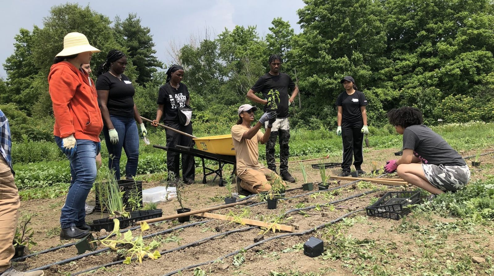Cultivating Change: BCCF’s New Market Garden Training Pilot Program