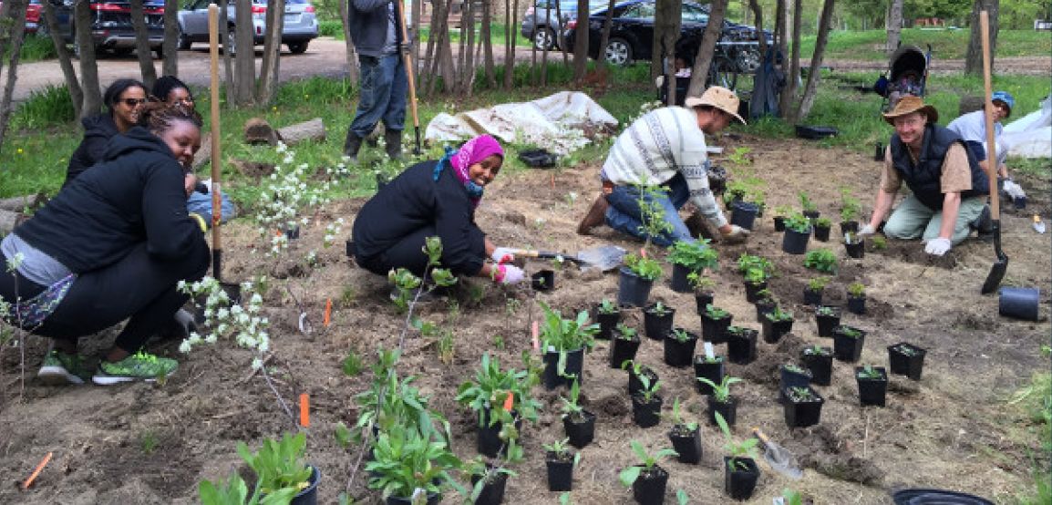 group of people gardening